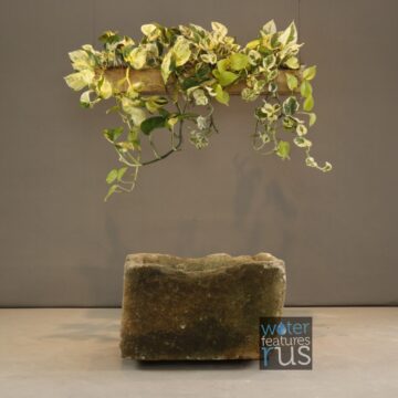 Raw Edge Limestone – G11