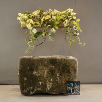 Rustica Basin Limestone – G19