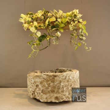 Orchid Vessel Limestone – G20