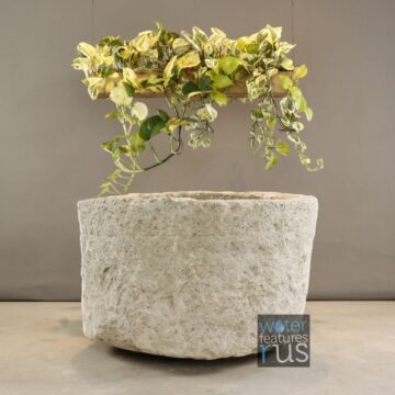 Valley Basin Limestone – G21