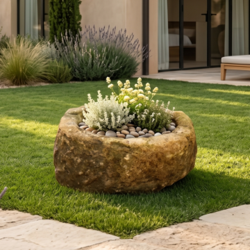 Mesa Limestone – MM05
