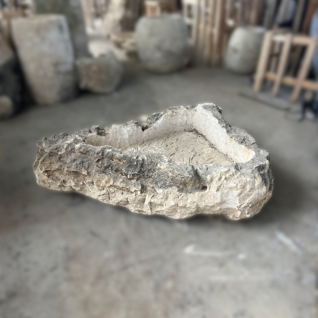 Crocodile Limestone LR11 — real product photo