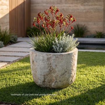 Caldera Limestone – LR19